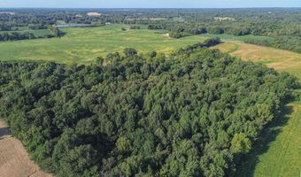 224 County Road 1003, Bardwell, KY 42023