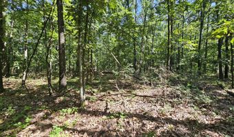 65 Acres Plainview Rd, Anderson, MO 64831