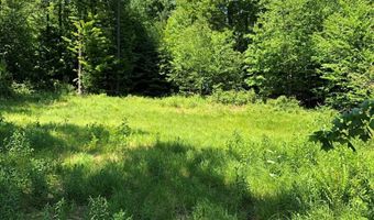 VT Route 109 Lot 3, Belvidere Center, VT 05442