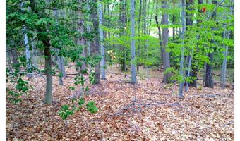 8310 UPPER SPRING Ln, Annandale, VA 22003