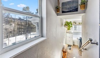 323 N OAK St, Alma, CO 80420