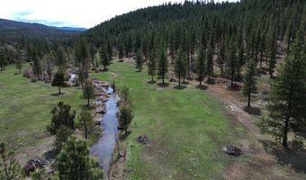 Roney Flat Road, Adin, CA 96006