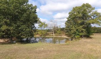 000 County Road 113, Alton, MO 65606