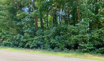 Lot 969 Iron Gate Drive, Baneberry, TN 37890