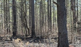 Faust Farm Rd, Arnoldsville, GA 30619