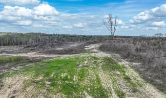 919 County Road 6628, Banks, AL 36005