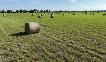 72 Nw Pl, Bell, FL 32619