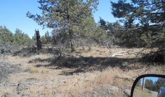 Ground Squirrel Drive, Bonanza, OR 97623