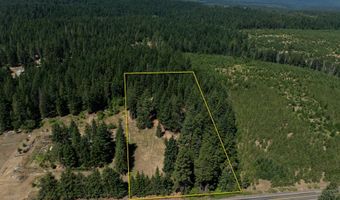 1251 CANYON Rd, Appleton, WA 98602