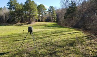 217 281, Banner, MS 38913