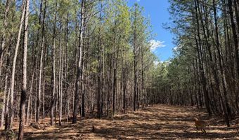 MOUNTAIN CUT RD lot D, Appomattox, VA 24522