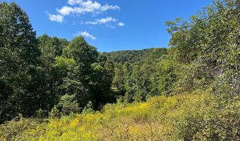 Hamilton Ridge Road, Alderson, WV 24910