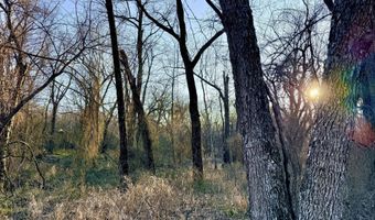 0002 CR-290, Asbury, MO 64832