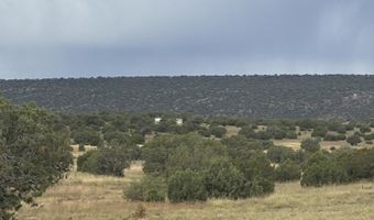 N8485, Concho, AZ 85924