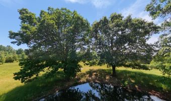 County Road 113, Alton, MO 65606