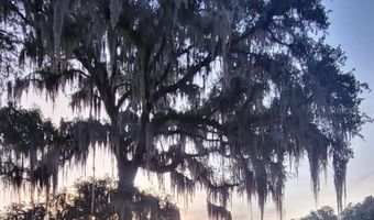 0 NE 132ND Pl, Anthony, FL 32617