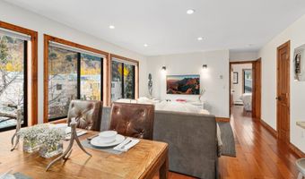 725 E Main St 309, Aspen, CO 81611