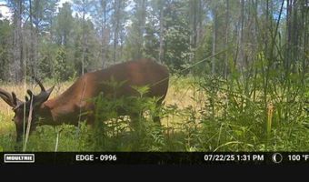 Highway 9N, Banner, MS 38913