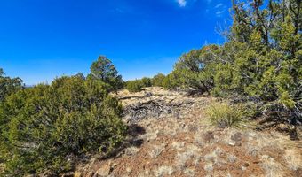 Show Low Pines Unit 3 lot 468, Concho, AZ 85924