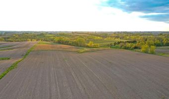 Vine Avenue, Ainsworth, IA 52201