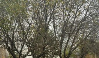221 W Hall St, Kendall, WI 54638