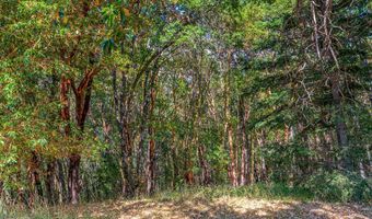 5010 Old Hwy 99, Ashland, OR 97520