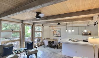 600 E Main St 406, Aspen, CO 81611