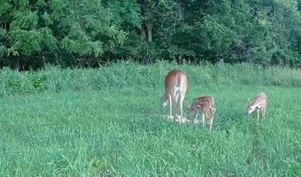 Chickadee Court, Agency, MO 64401