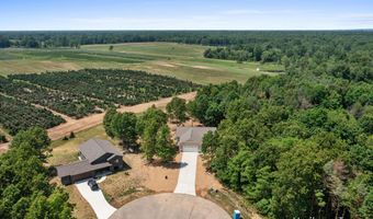 928 Armintrout Ridge Ct, Allegan, MI 49010