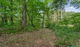 1125 39th St, Allegan, MI 49010