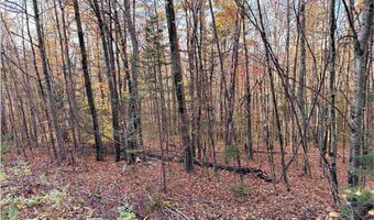 4-1 7 Hodgeman Hill Rd, Campton, NH 03223