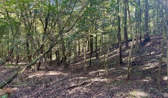 0 Lloyd Mill Rd, Andalusia, AL 36421