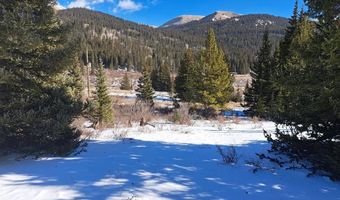 3553 RIVER Dr, Alma, CO 80420
