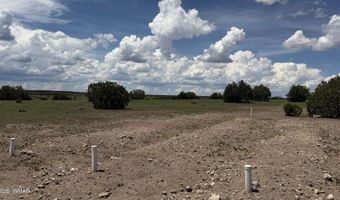 141 N8515, Concho, AZ 85924