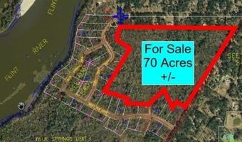 1410 Faceville Hwy, Bainbridge, GA 39819