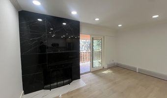 910 W Hallam St 12, Aspen, CO 81611