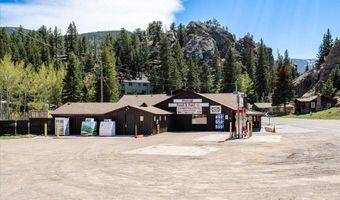 104 County Road 90, Allenspark, CO 80510
