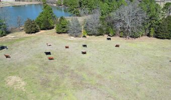 E1930 RD, Antlers, OK 74523