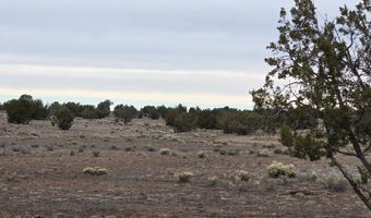 214 Juniper Woods, Ash Fork, AZ 86320