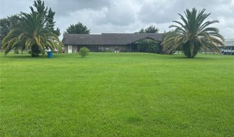 1350 RED COLT Ct, Astor, FL 32102