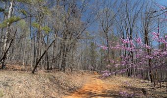 Soapstone Road, Baldwin, GA 30511