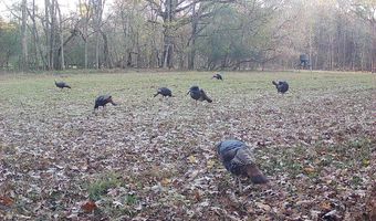 425 Rose Hill Rd, Bentonia, MS 39040