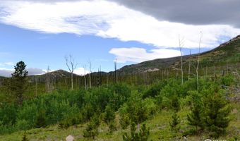 1256 Basking Dog Rd, Bellvue, CO 80512
