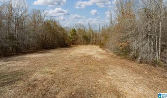BRUSH CREEK DRIVE lot 0, Akron, AL 35441
