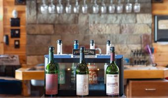 9090 M-68, Alanson, MI 49706