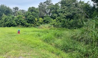 E CLEVELAND STREET E, Apopka, FL 32703