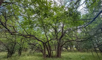Tract 4 Highway 70, Bennington, OK 74723