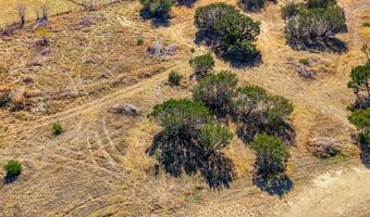 1635 County Road 539, Hico, TX 76457