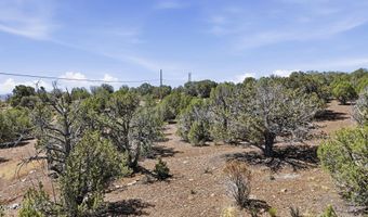 N Dominique Drive, Chino Valley, AZ 86323
