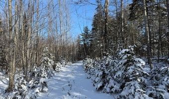 US-1 lot 10, Baring Plt, ME 04694